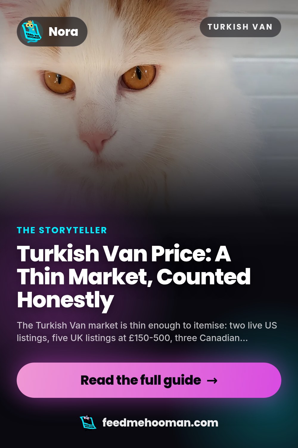 Turkish Van Price: A Thin Market, Counted Honestly