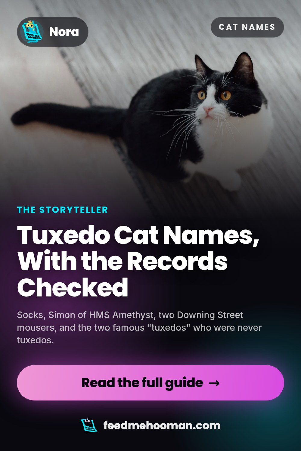 Tuxedo Cat Names, With the Records Checked