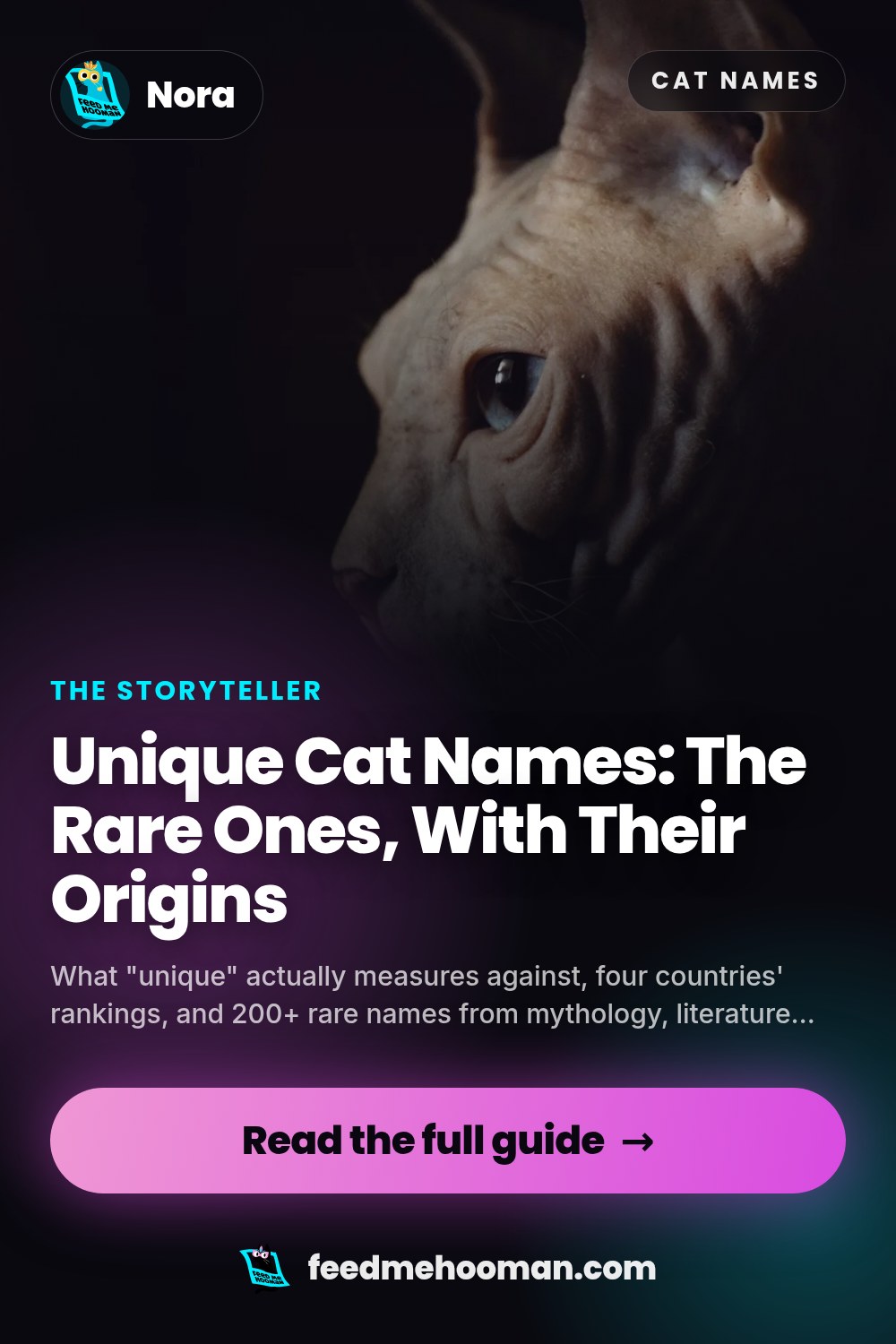 Unique Cat Names: The Rare Ones, With Their Origins