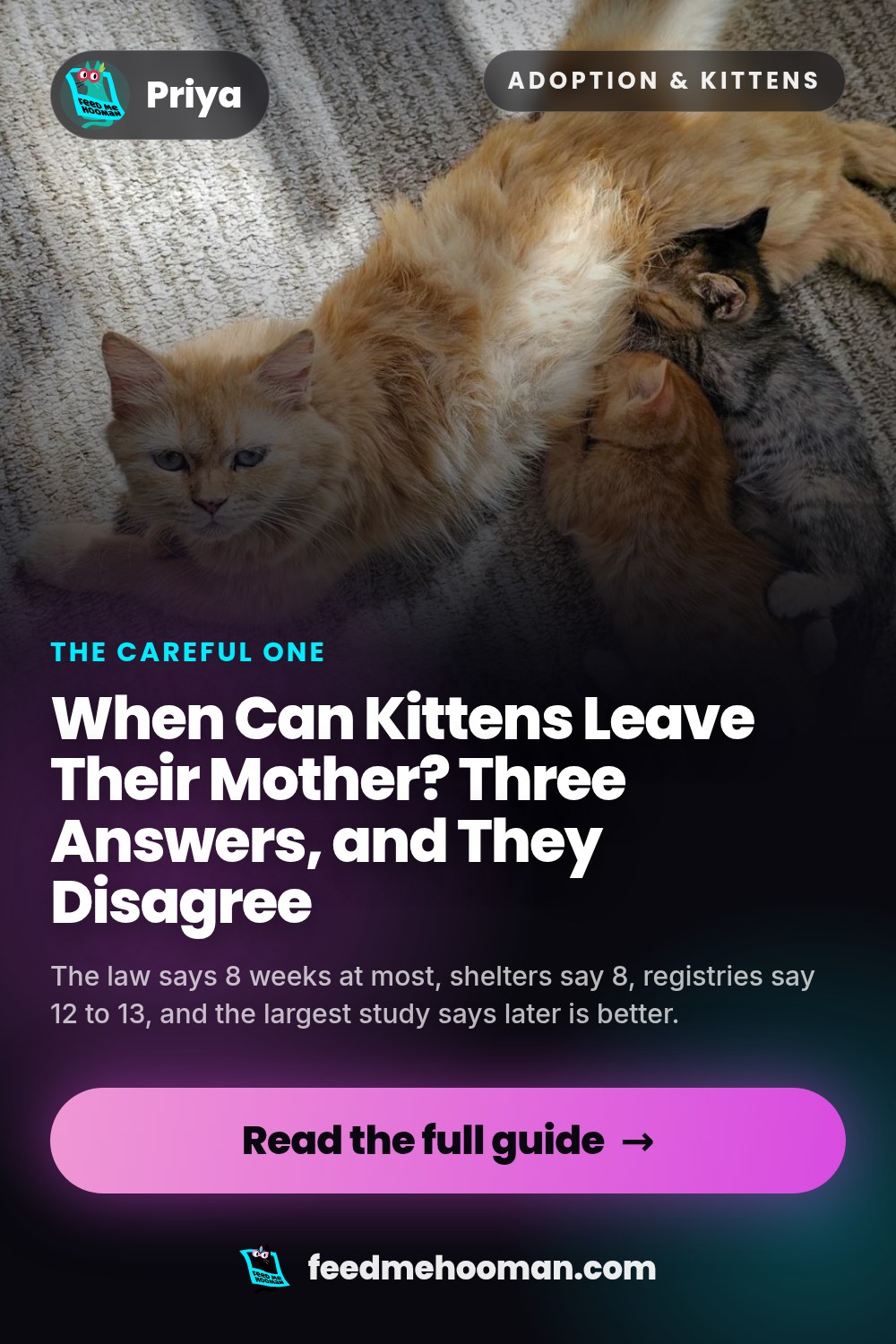 When Can Kittens Leave Their Mother? Three Answers, and They Disagree
