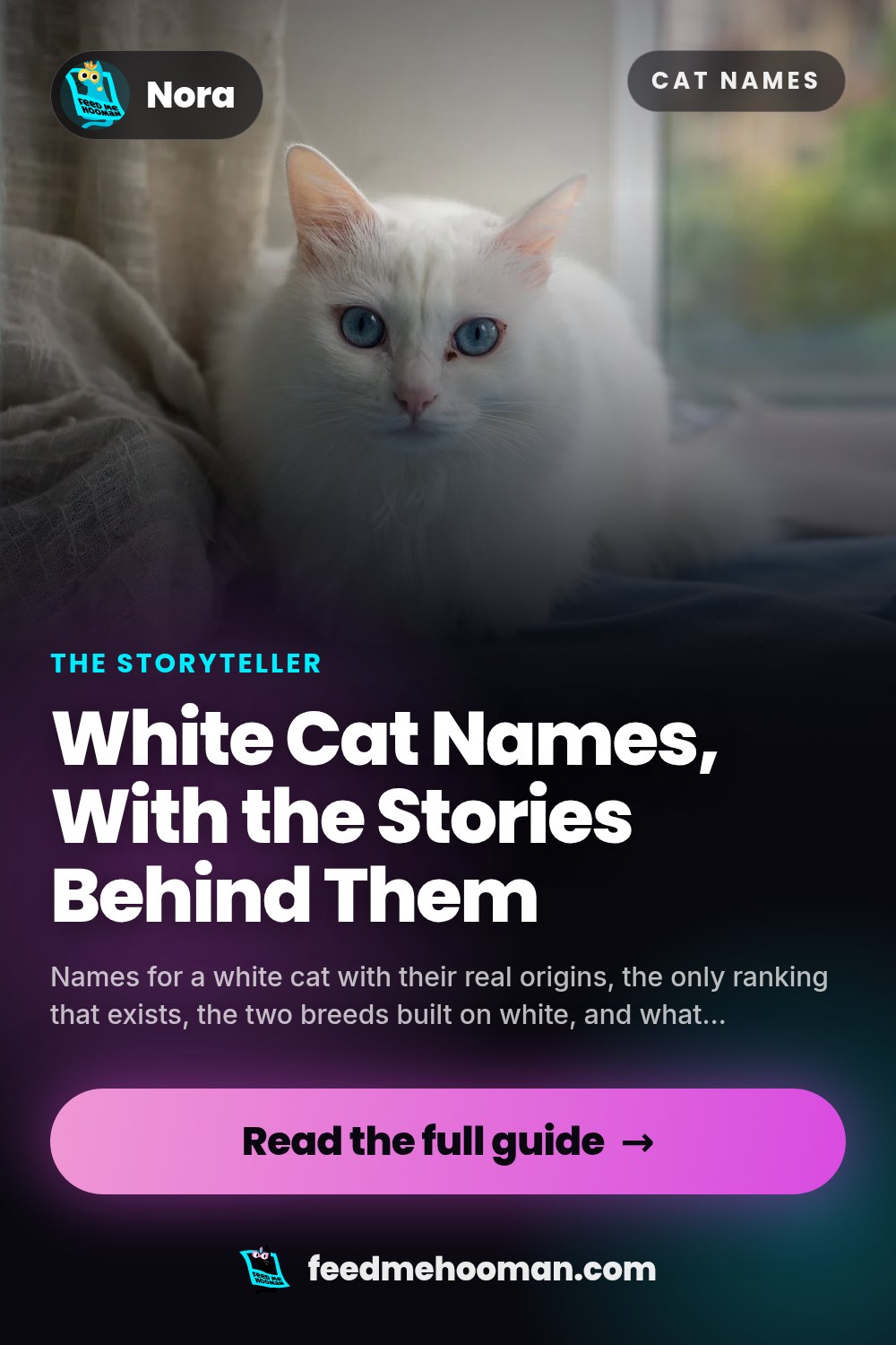 White Cat Names, With the Stories Behind Them