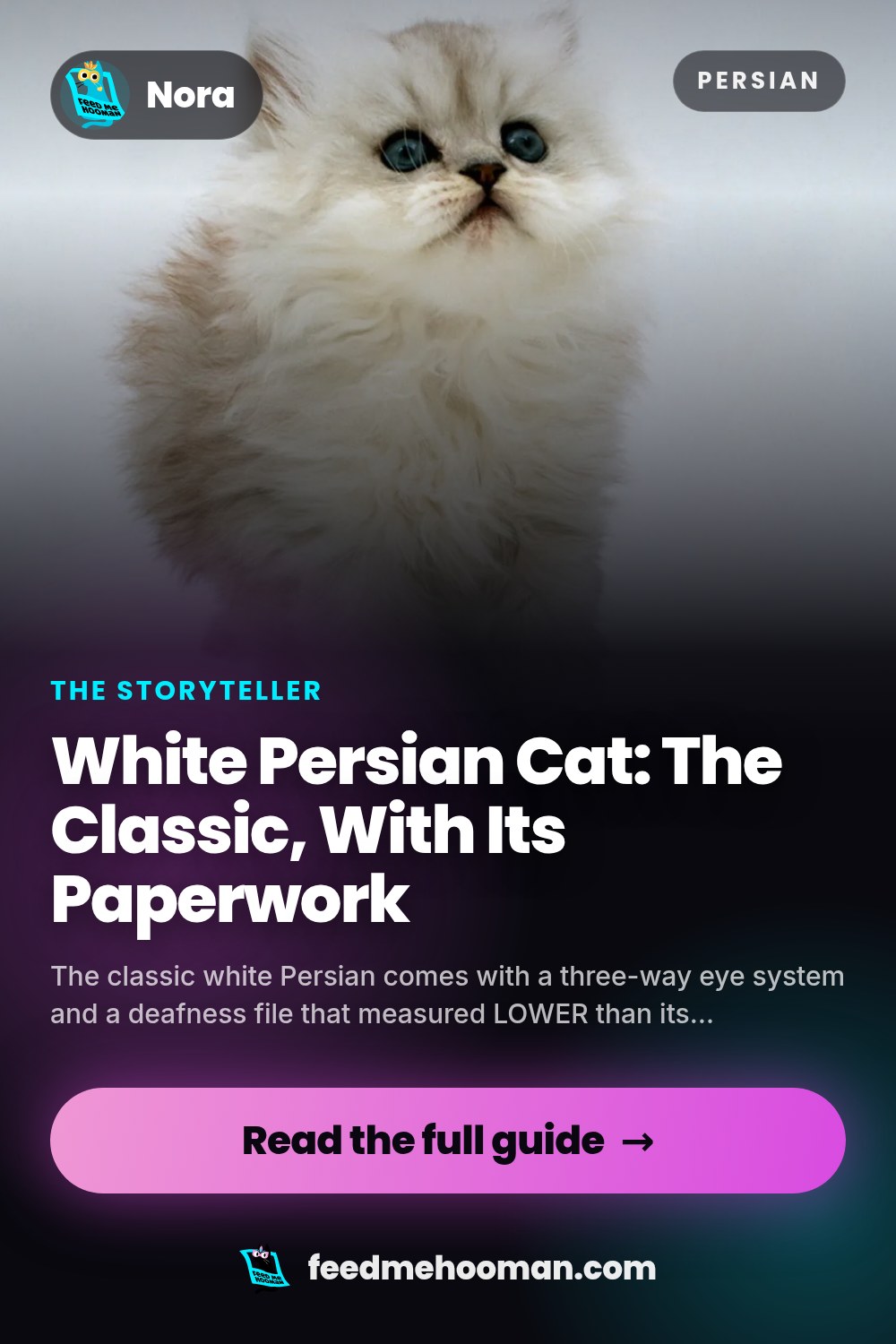 White Persian Cat: The Classic, With Its Paperwork