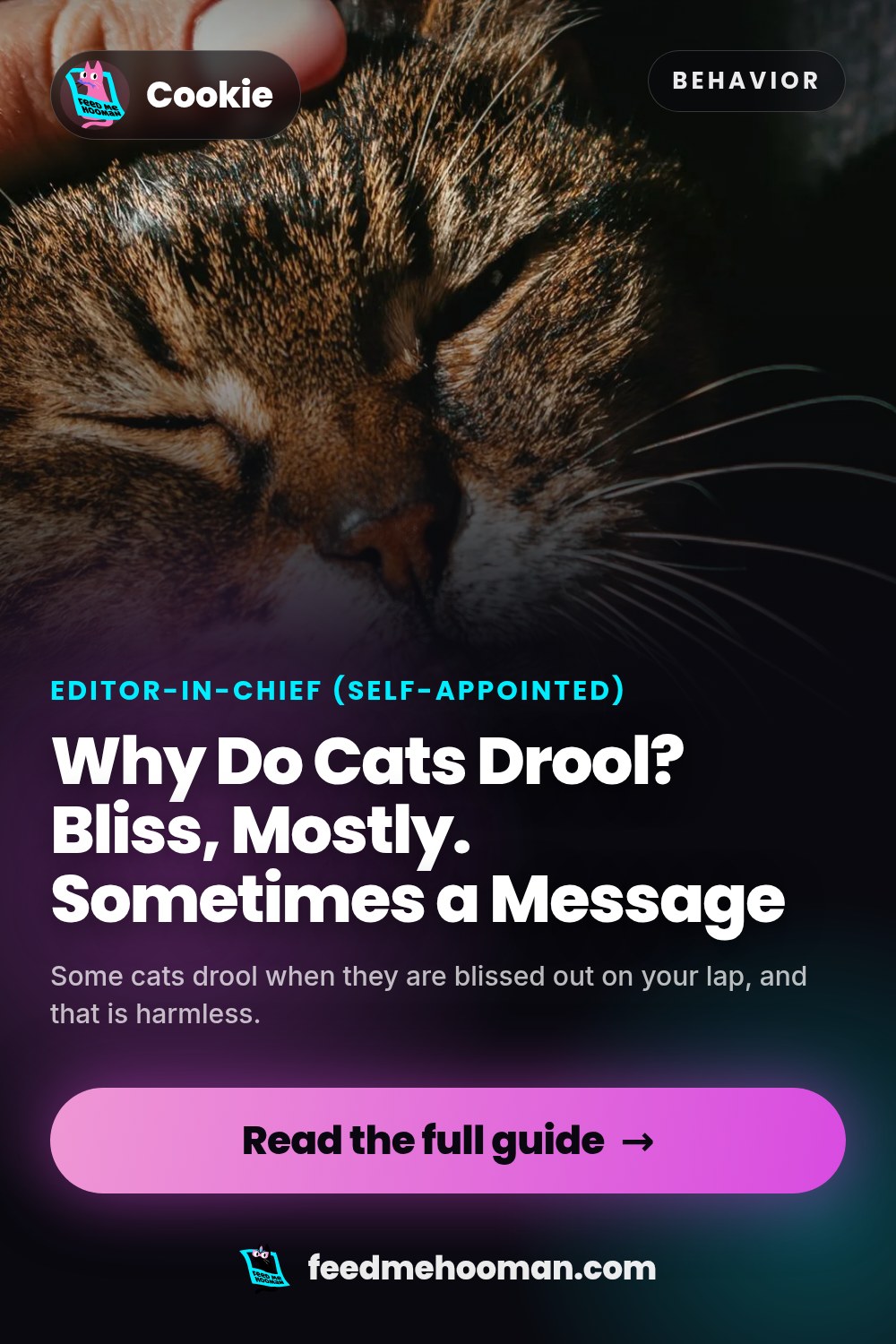 Why Do Cats Drool? Bliss, Mostly. Sometimes a Message