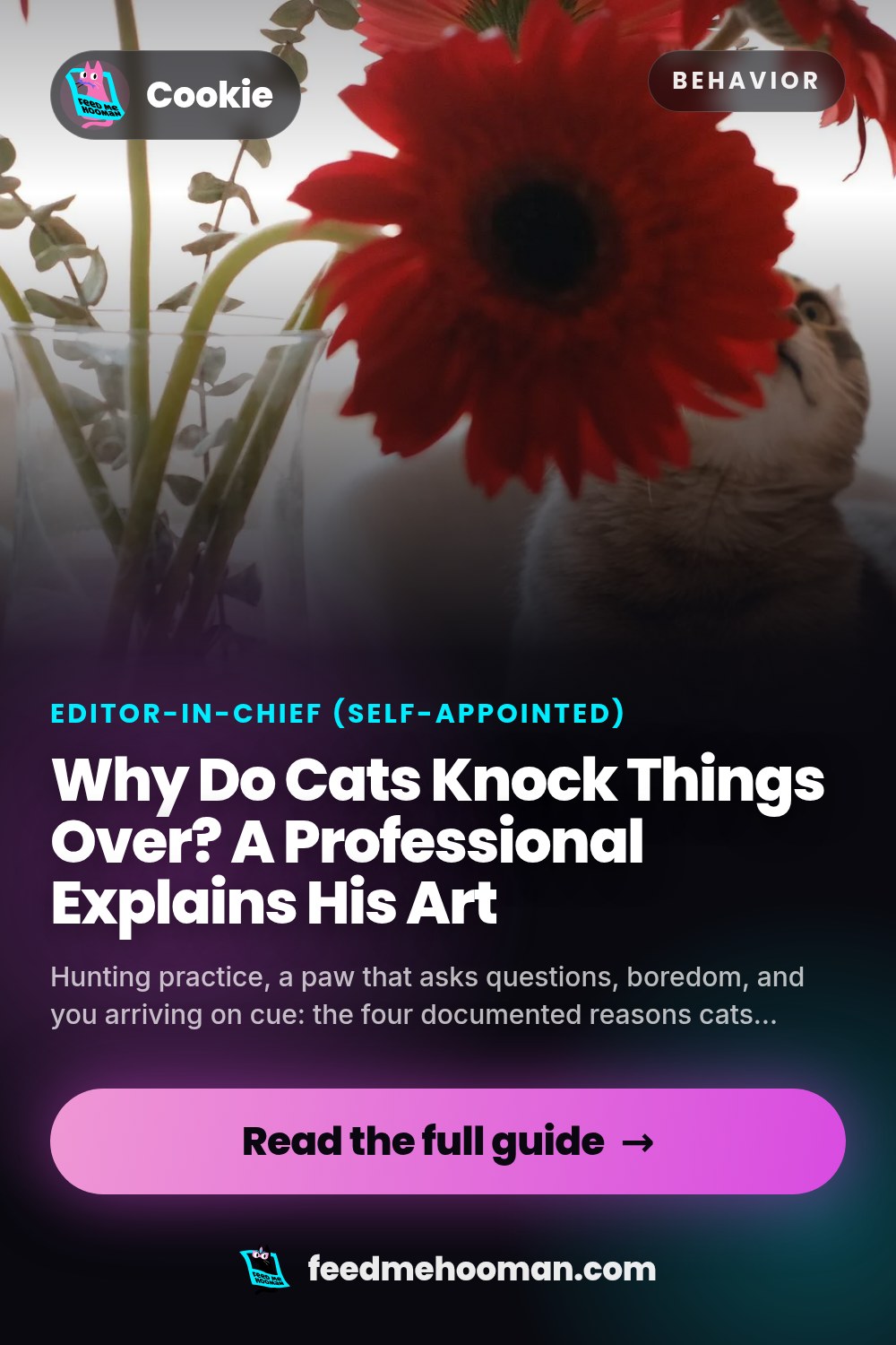 Why Do Cats Knock Things Over? A Professional Explains His Art
