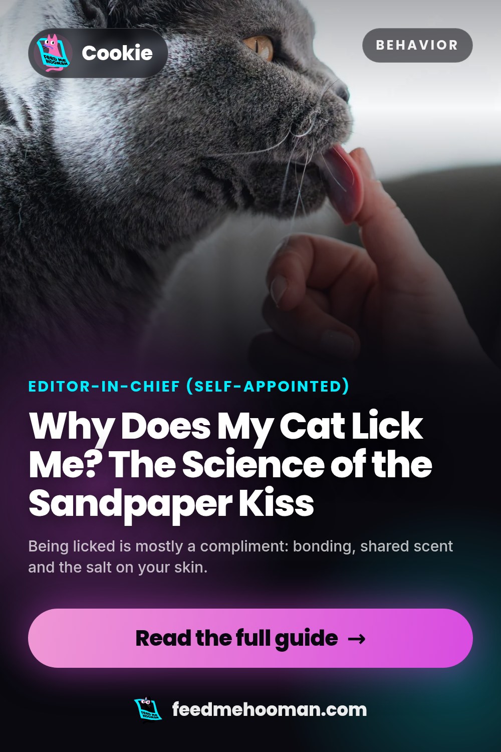 Why Does My Cat Lick Me? The Science of the Sandpaper Kiss