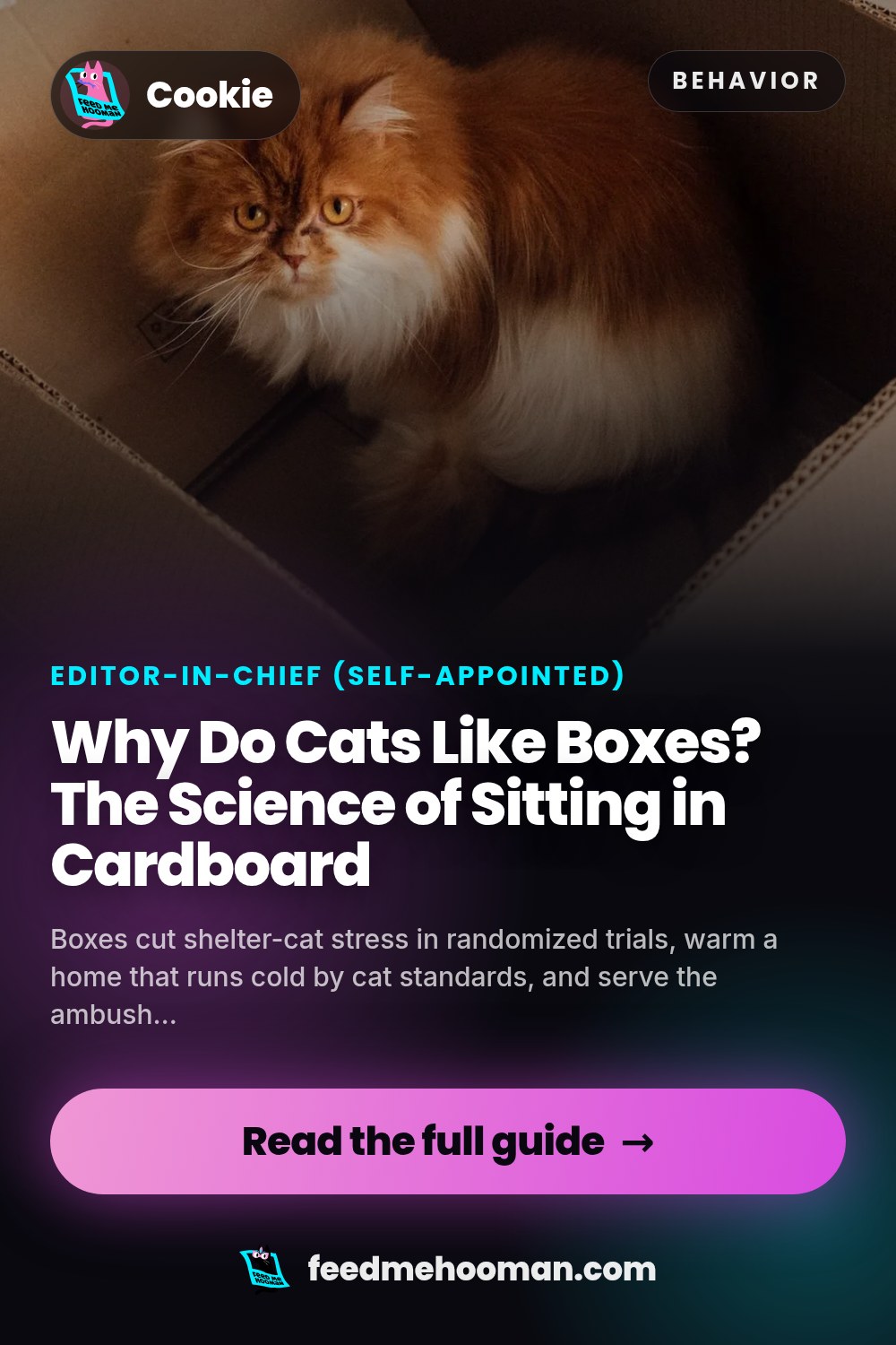 Why Do Cats Like Boxes? The Science of Sitting in Cardboard