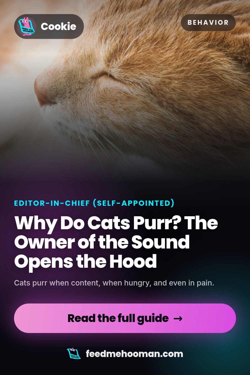 Why Do Cats Purr? The Owner of the Sound Opens the Hood