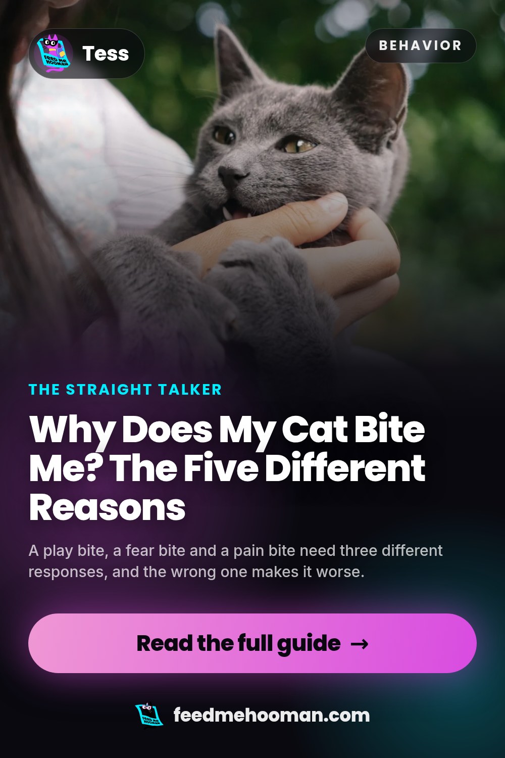 Why Does My Cat Bite Me? The Five Different Reasons