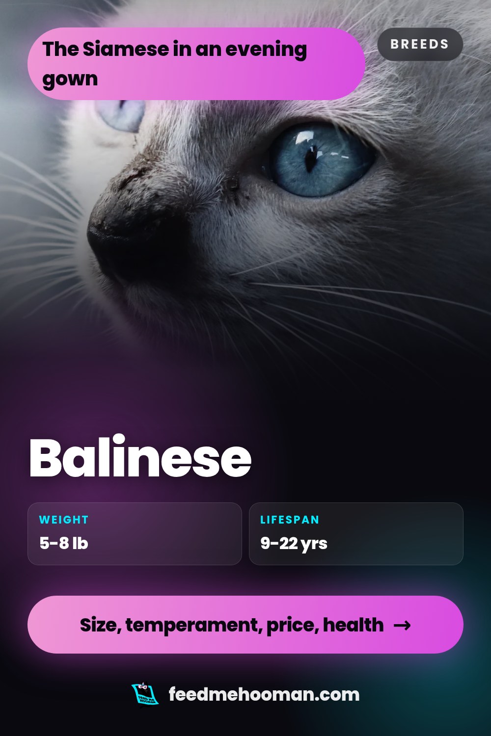Balinese