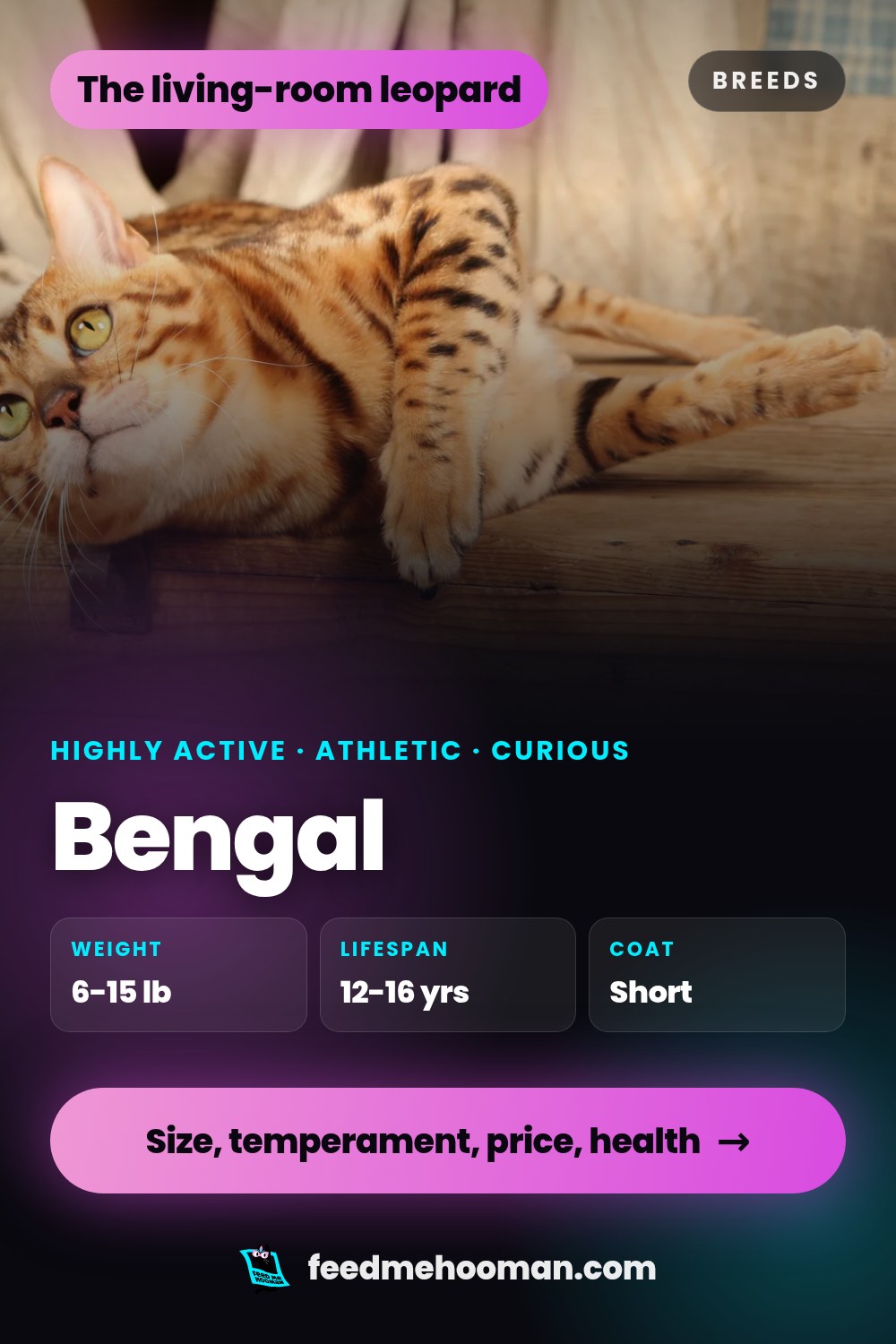 Bengal