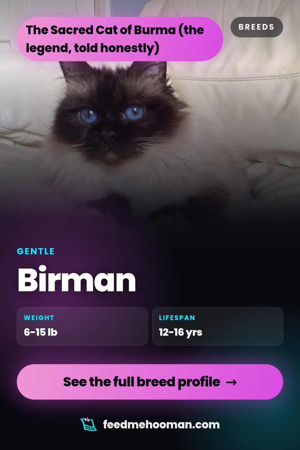 Birman