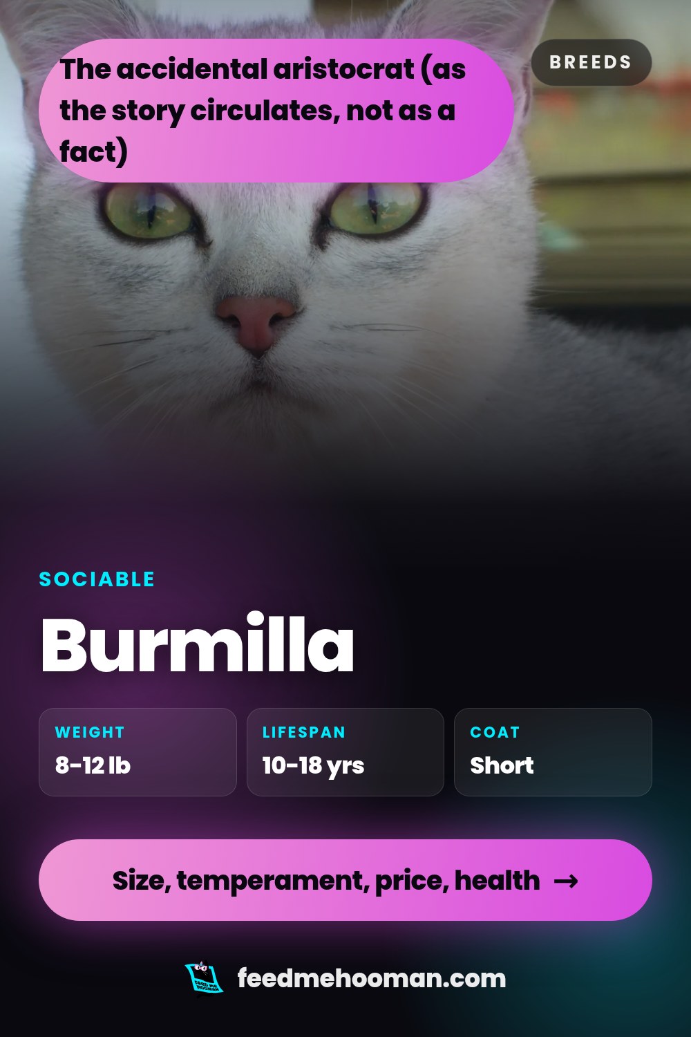 Burmilla