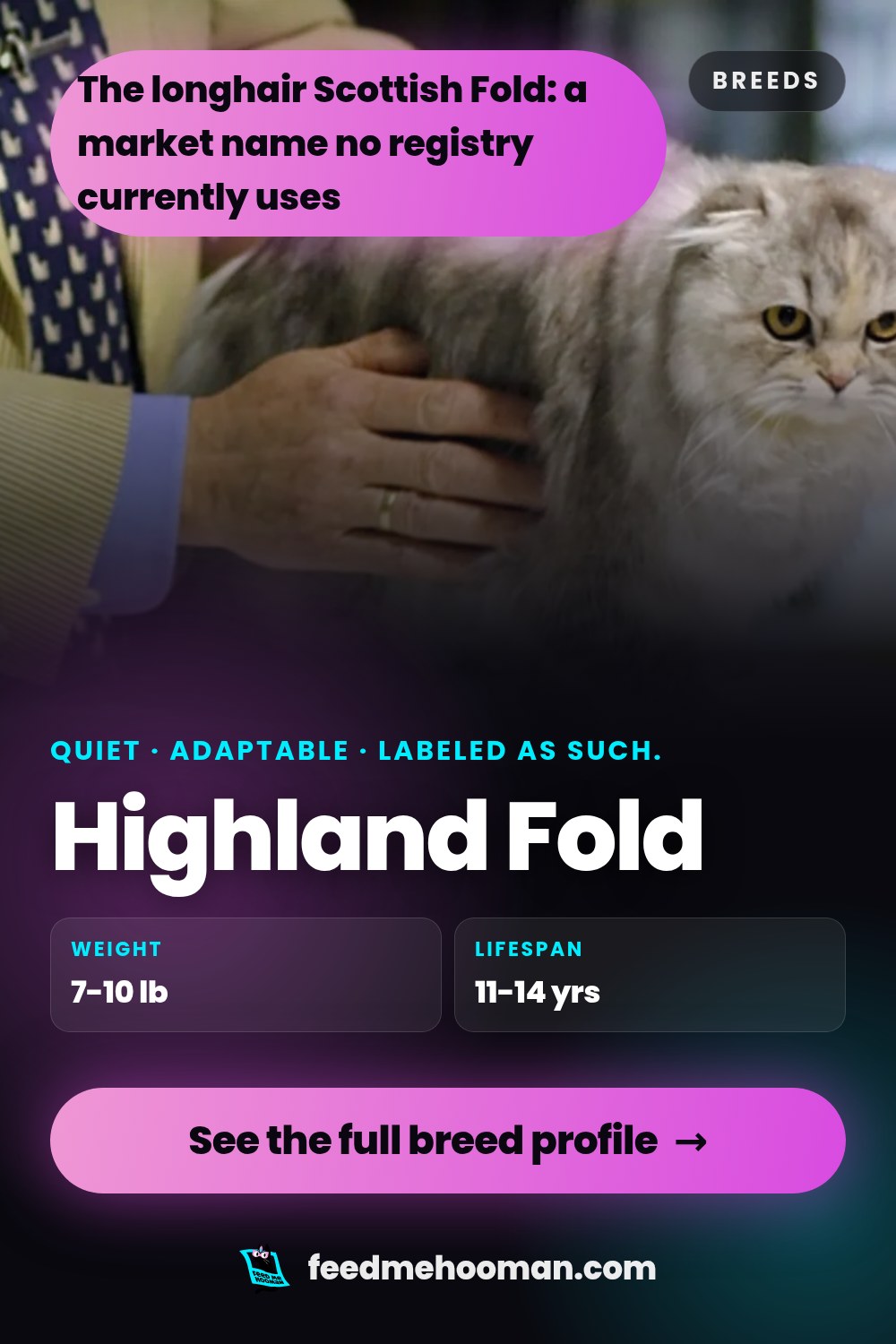 Highland Fold