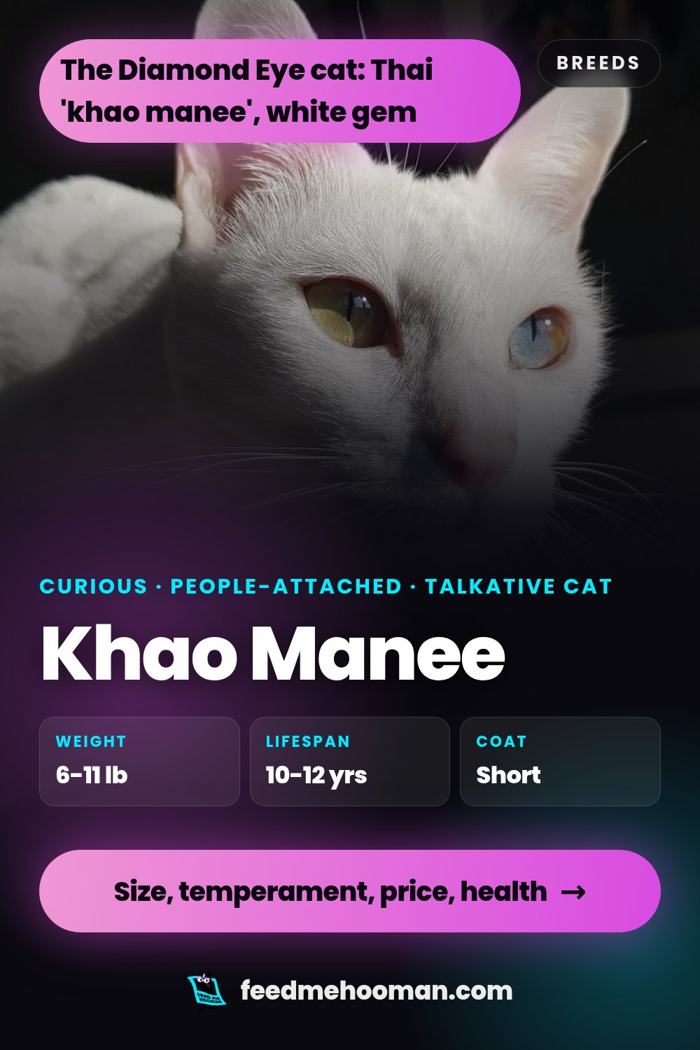 Khao Manee