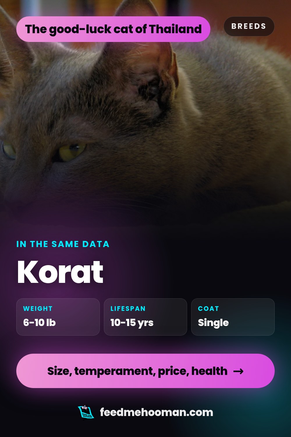 Korat