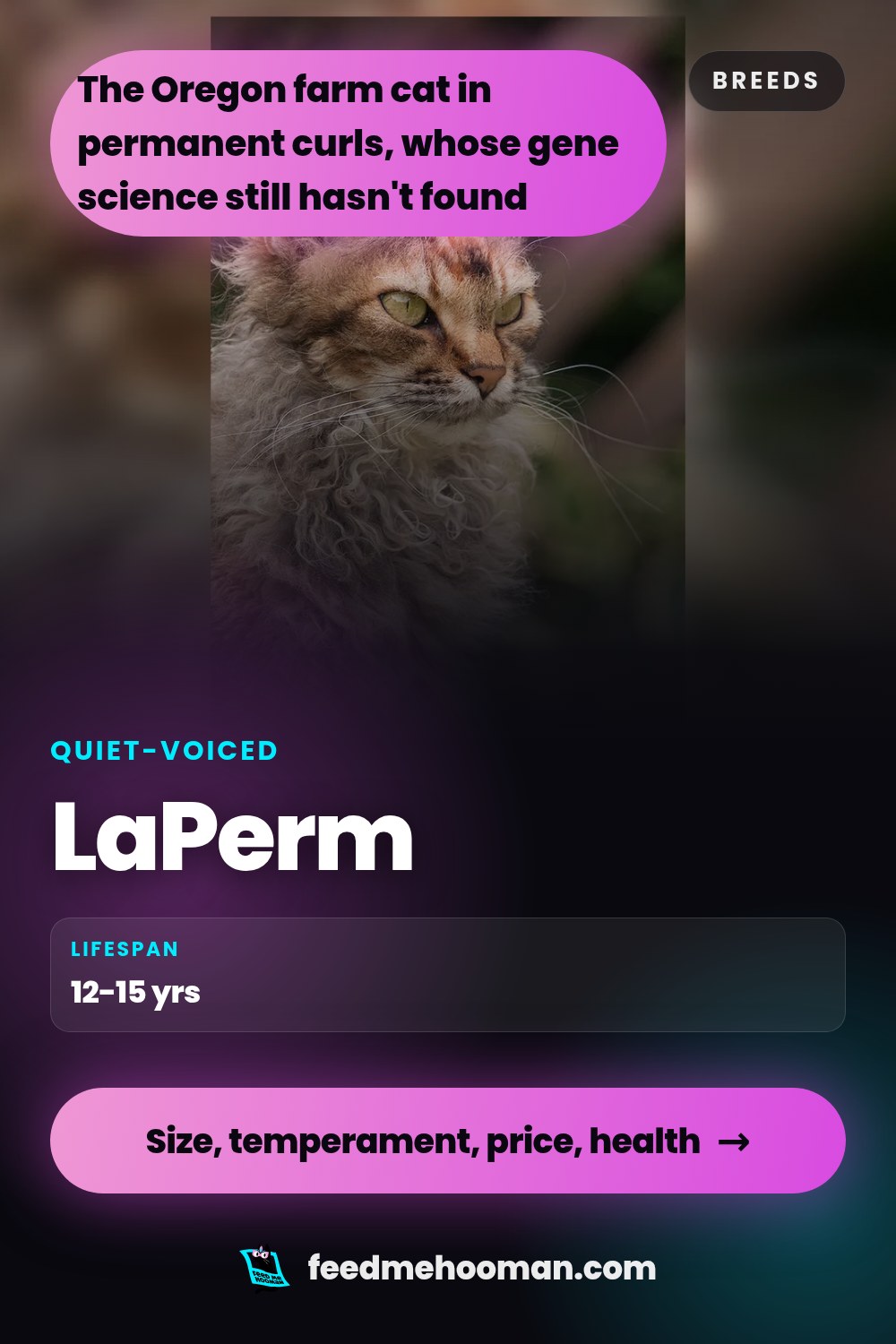 LaPerm