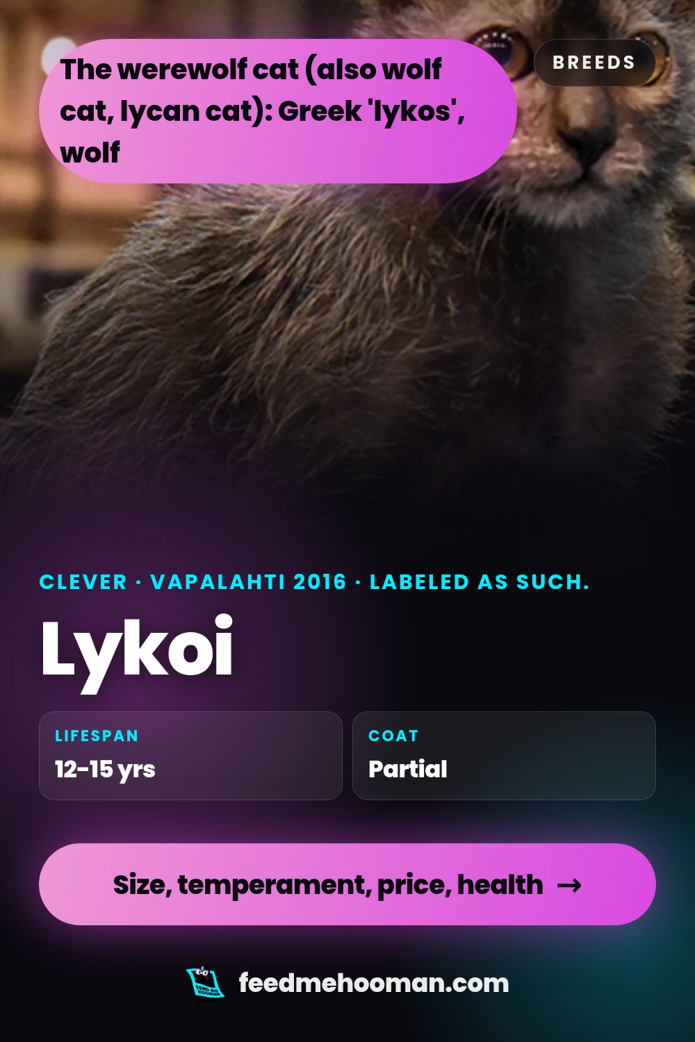 Lykoi