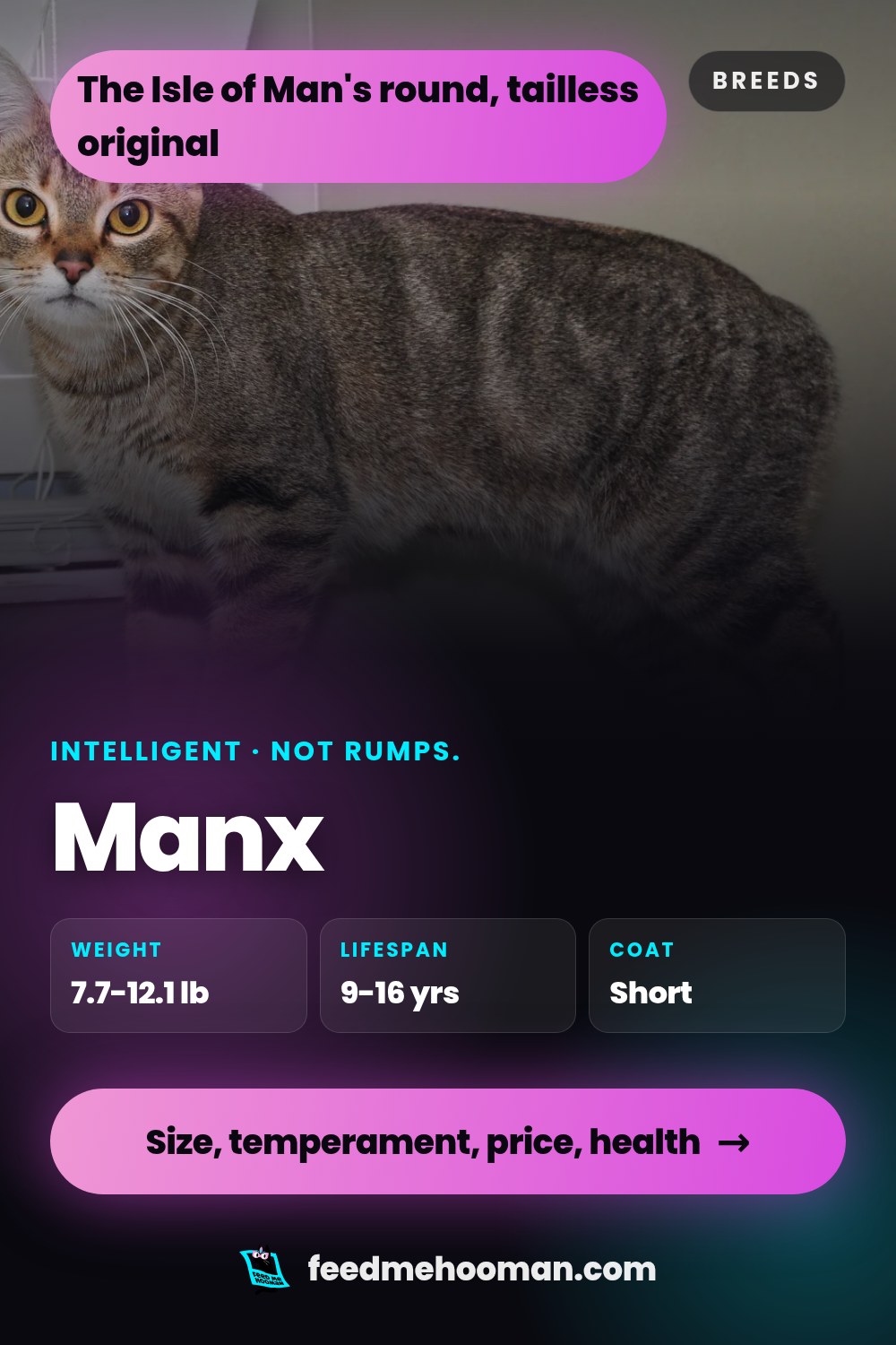 Manx