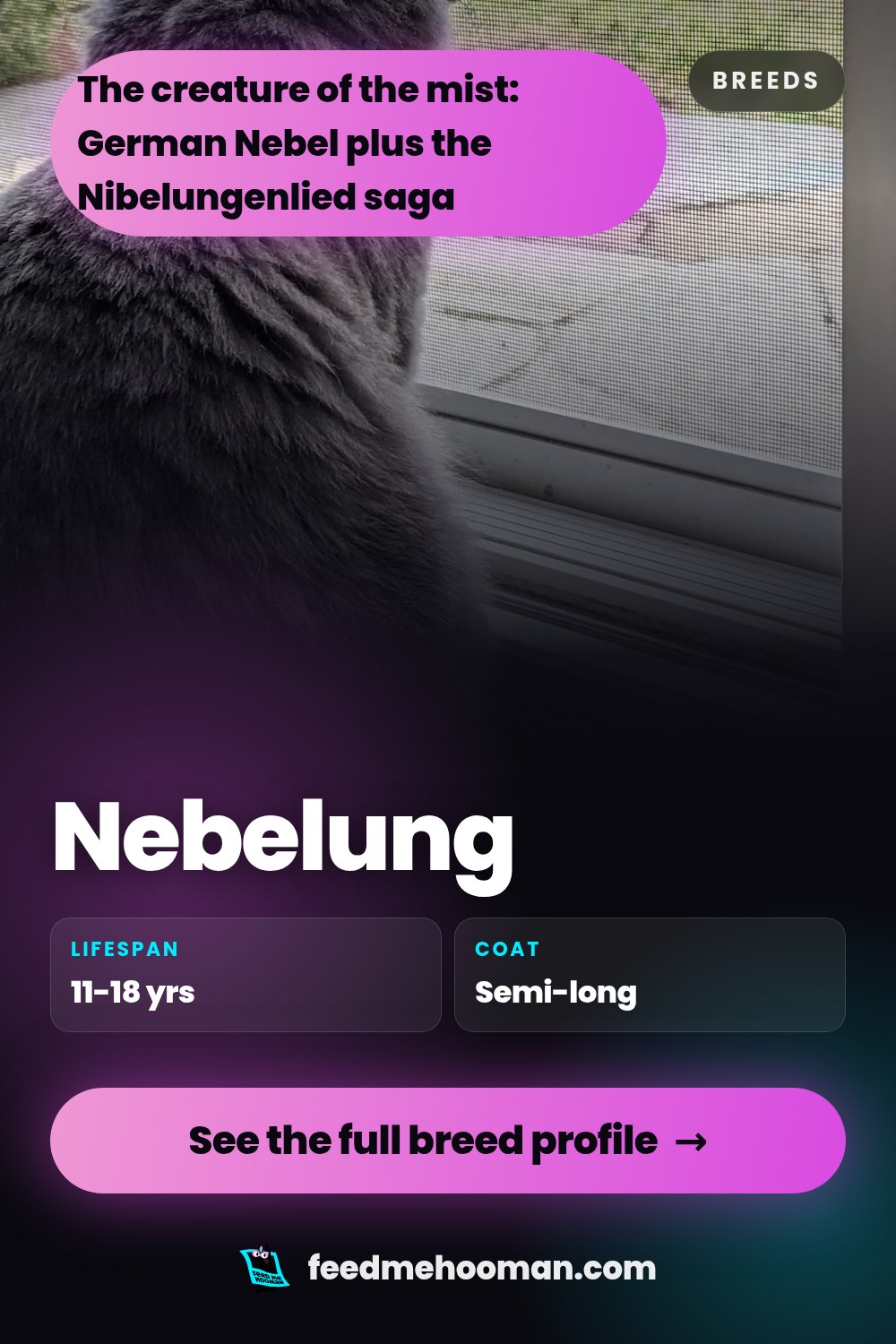 Nebelung