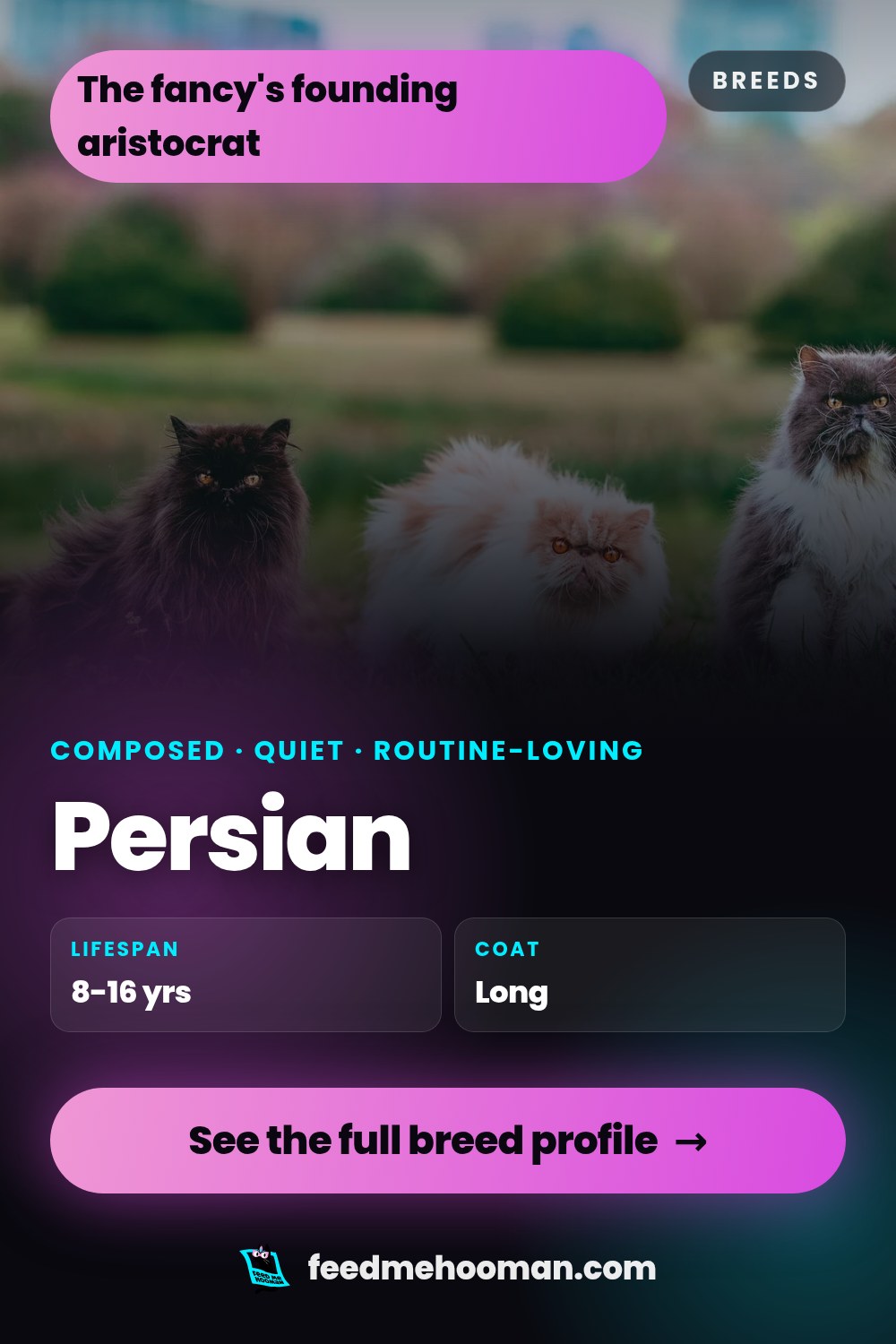 Persian