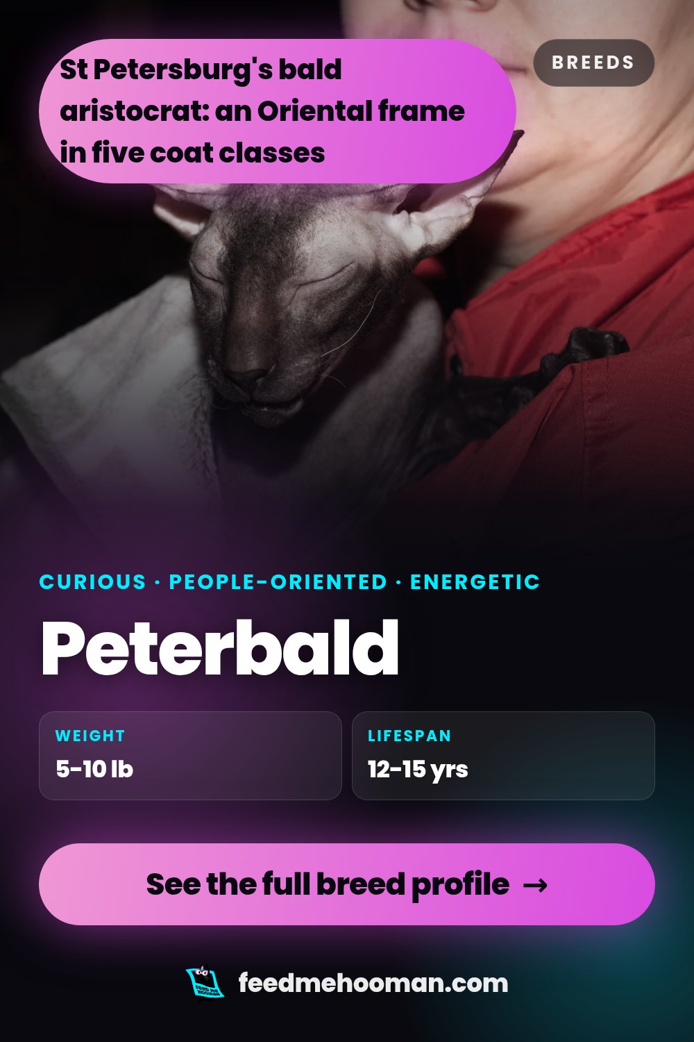 Peterbald