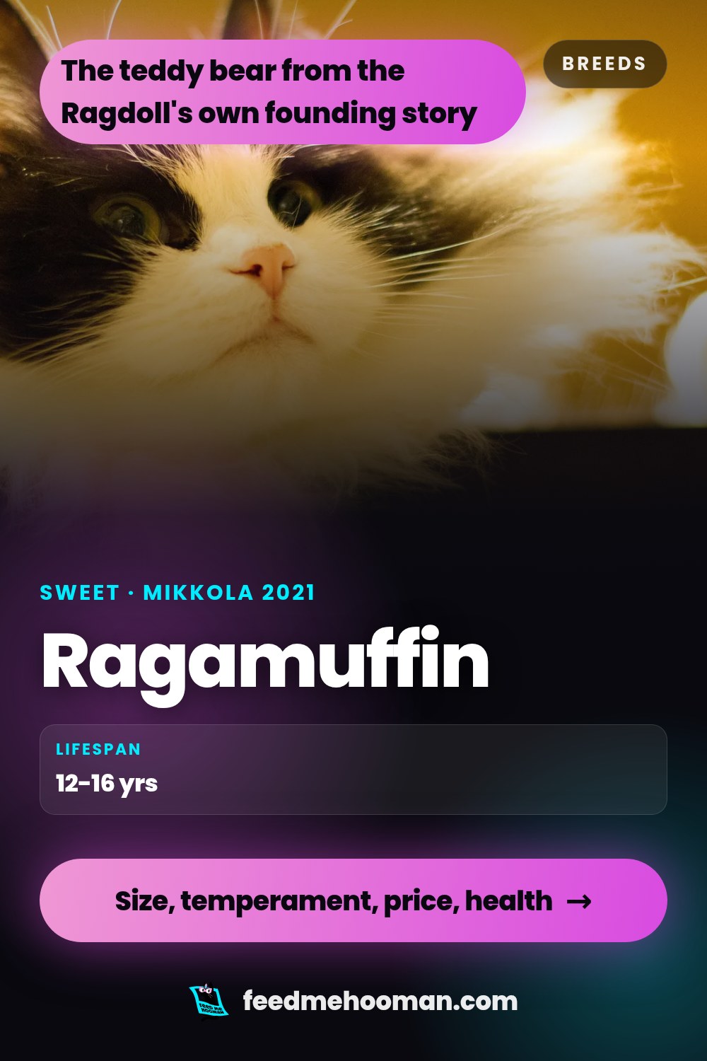 Ragamuffin