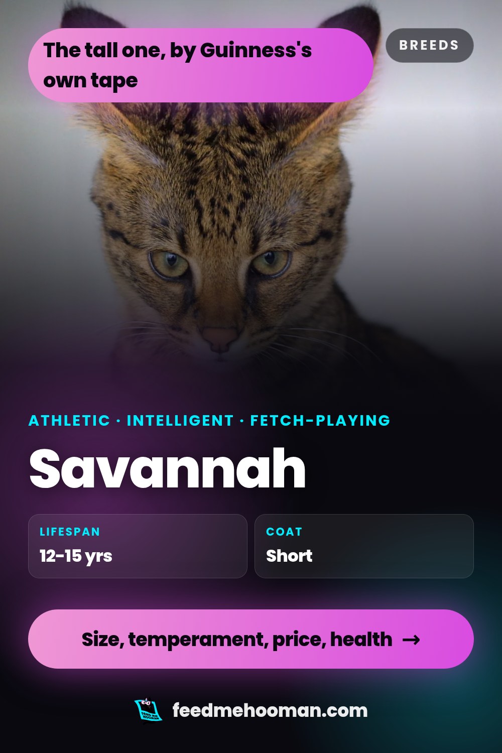 Savannah