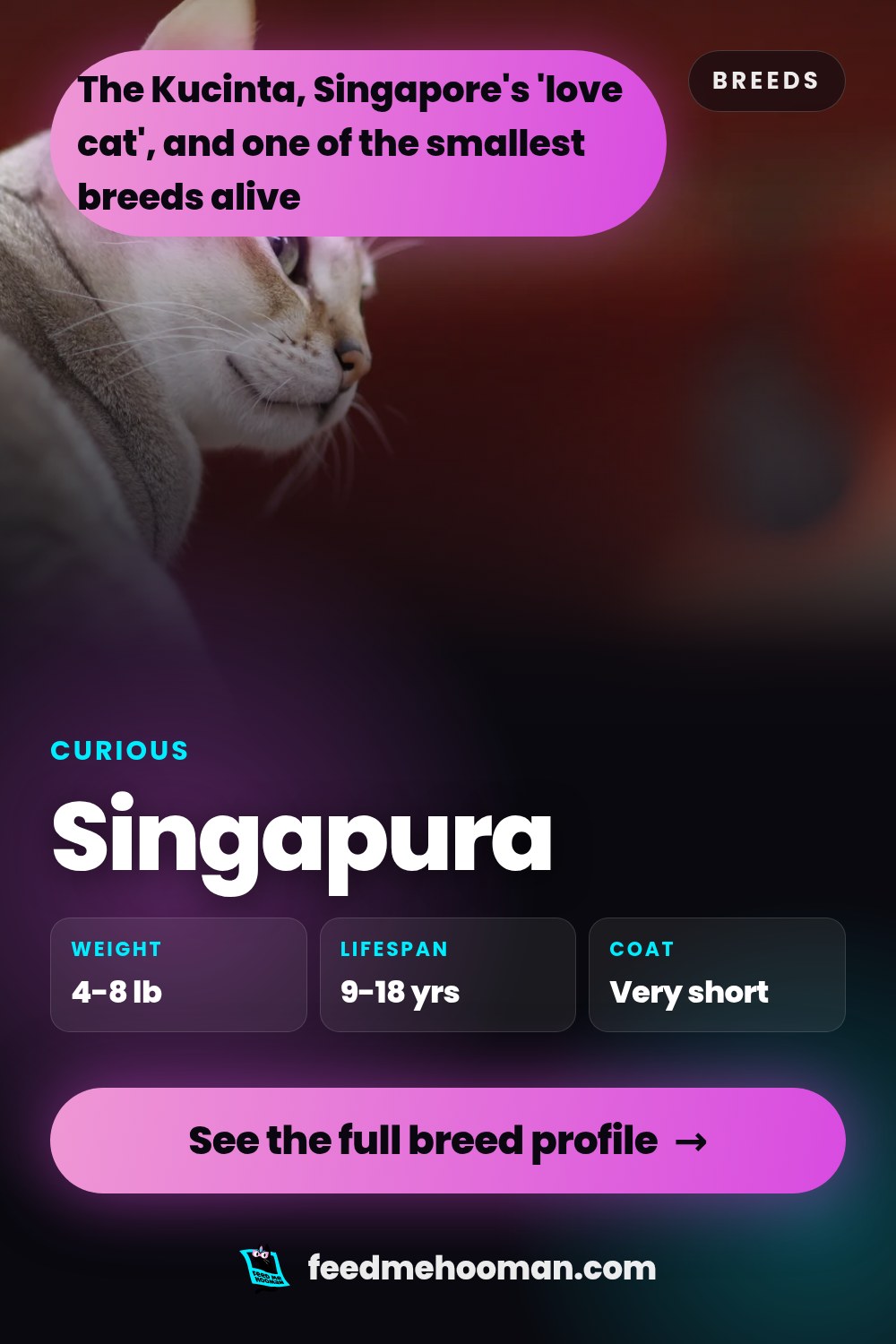 Singapura