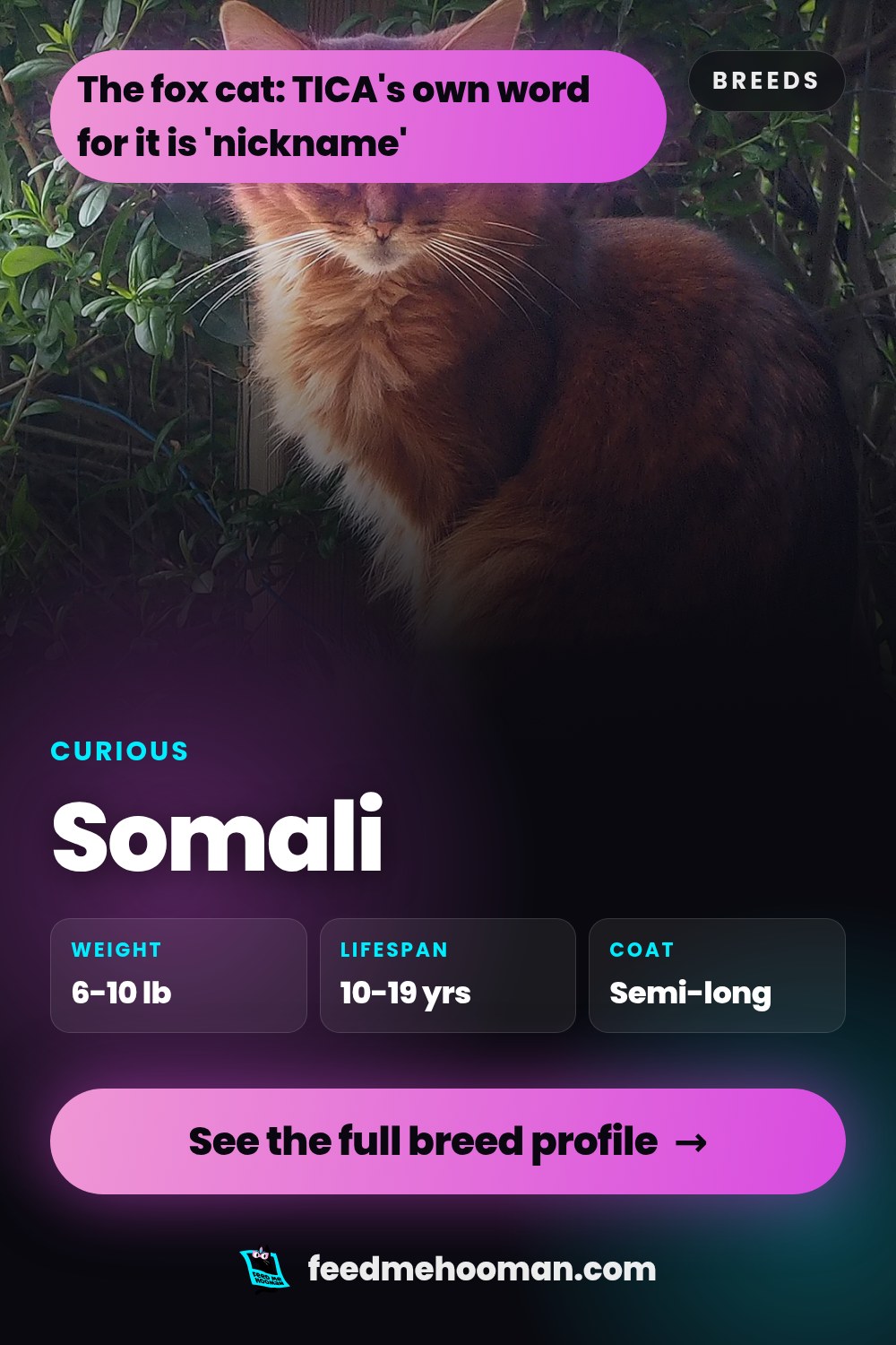 Somali