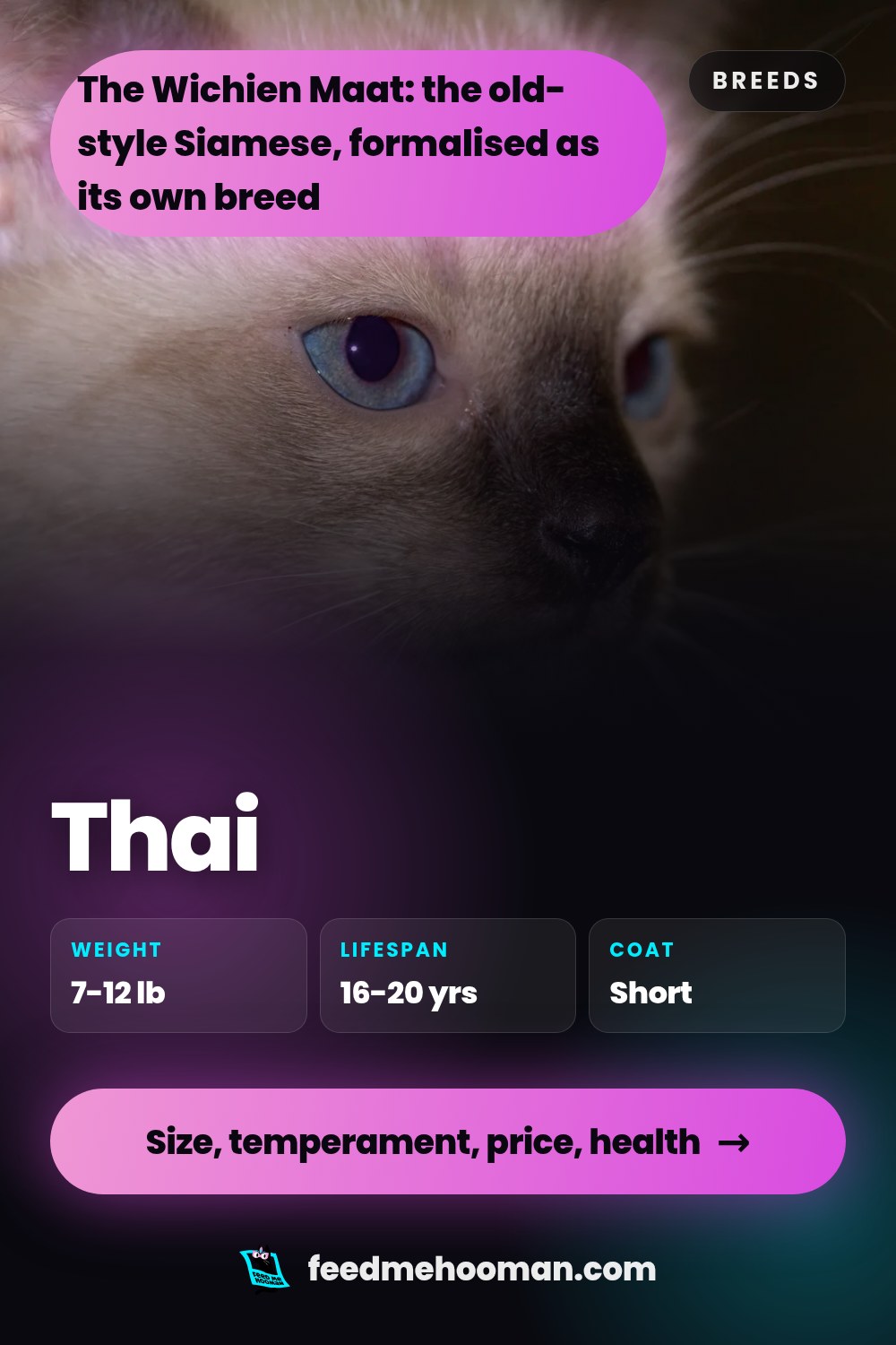 Thai