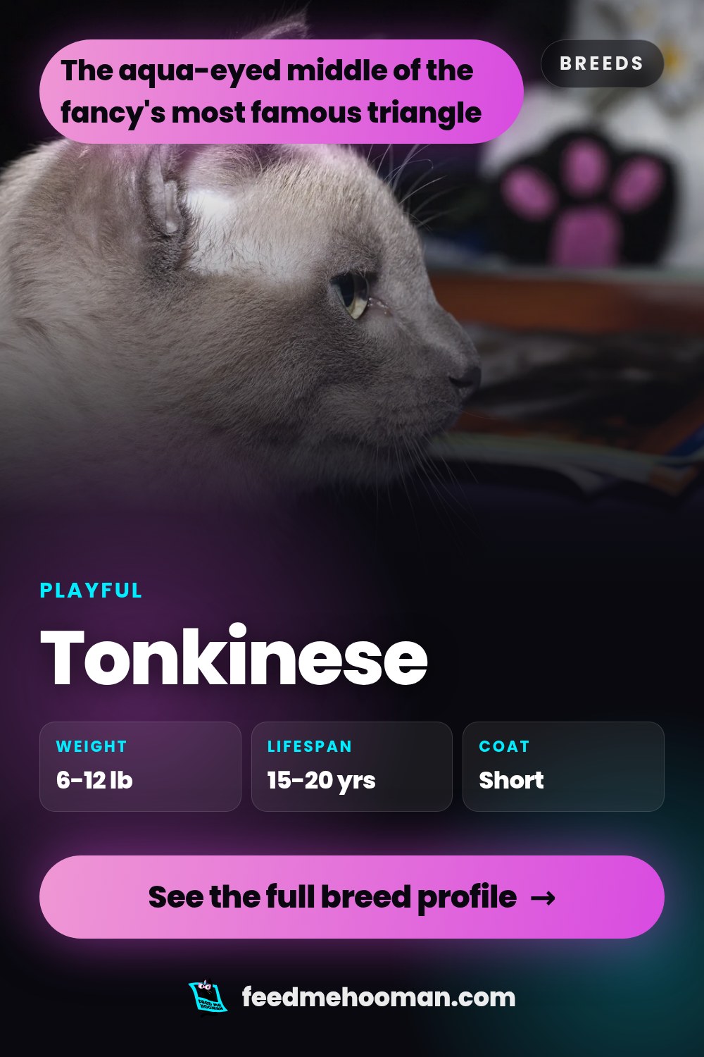 Tonkinese