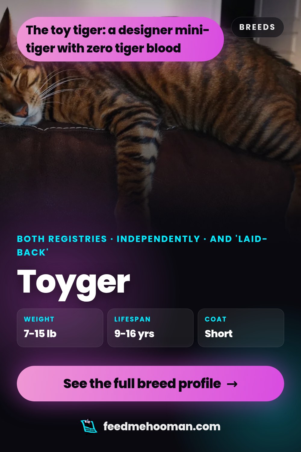 Toyger
