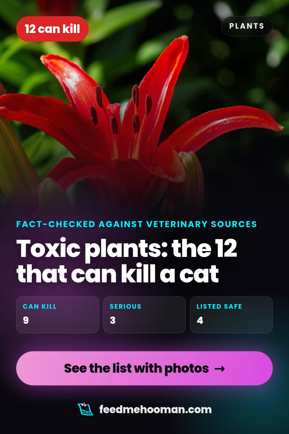 Toxic plants: the 12 that can kill a cat